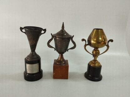 Trofeos variados medianos y pequeños - Imagen 3