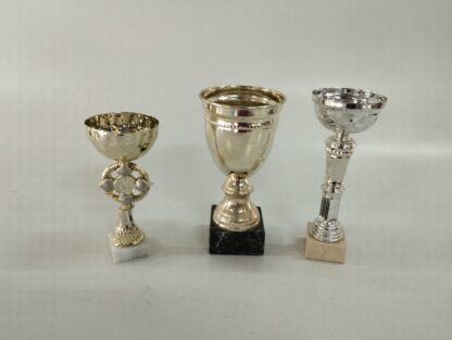 Trofeos variados medianos y pequeños - Imagen 4