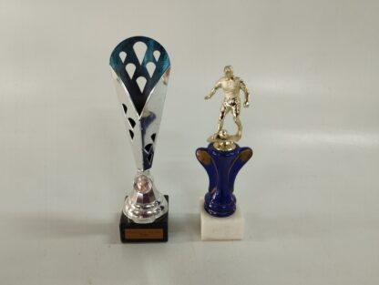 Trofeos variados medianos y pequeños - Imagen 6