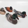 Figura patos medianos variados