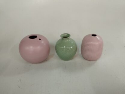 Violeteros variados - Imagen 10