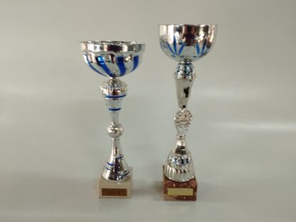 Trofeos variados grandes - Imagen 4