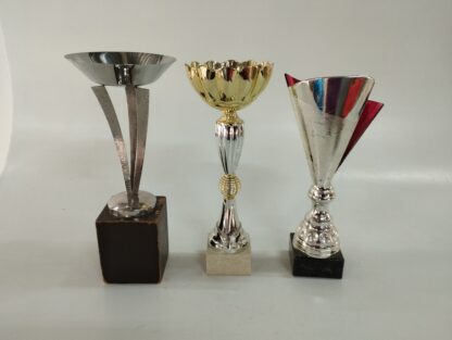 Trofeos variados grandes - Imagen 6